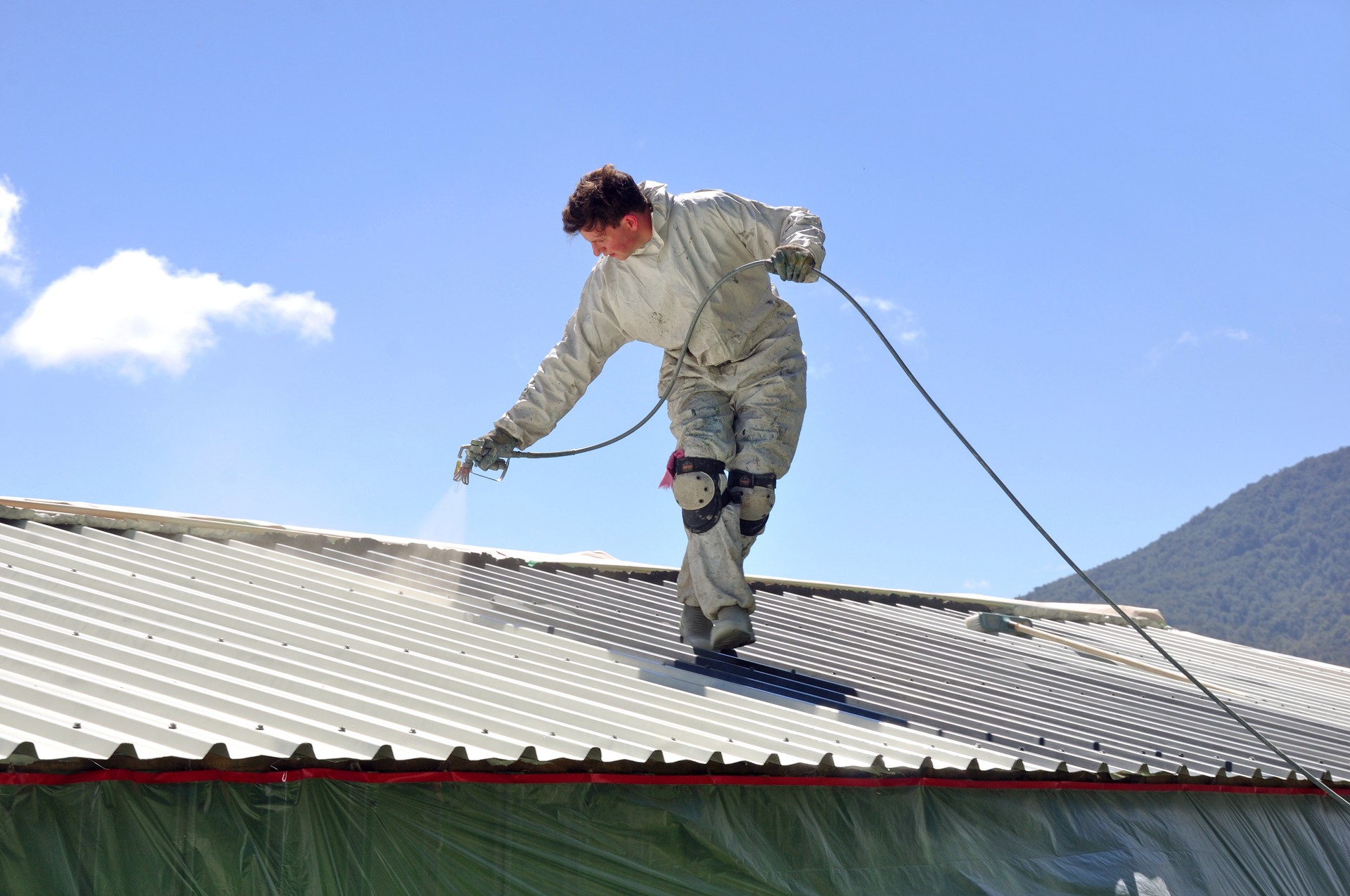 painting the roof